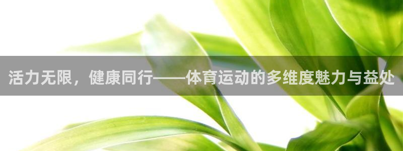 球客岛：活力无限，健康同行——体育运动的多维度魅力与益处