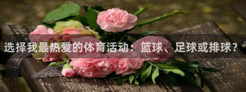 球客岛：选择我最热爱的体育活动：篮球、足球或排球？