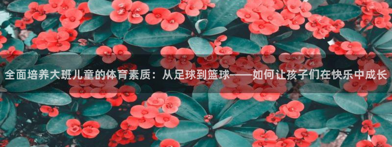 球客岛