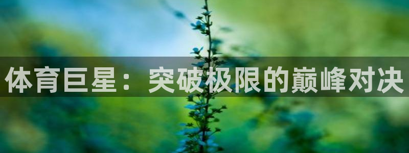 球客岛