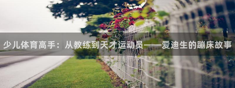 球客岛：少儿体育高手：从教练到天才运动员——爱迪生的蹦床故事