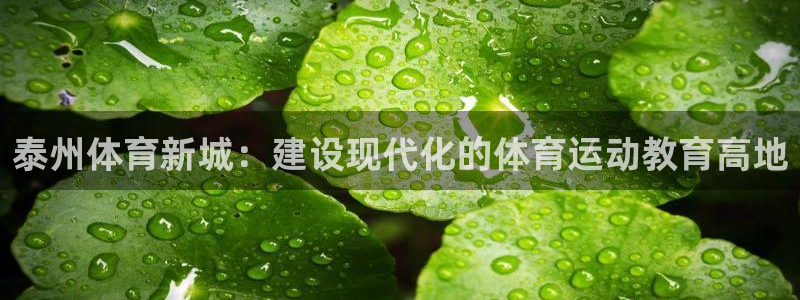球客岛：泰州体育新城：建设现代化的体育运动教育高地