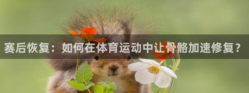 球客岛