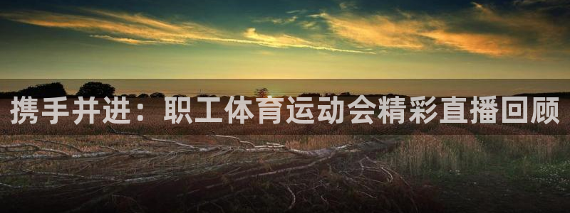 球客岛：携手并进：职工体育运动会精彩直播回顾
