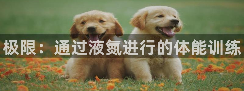 球客岛：极限：通过液氮进行的体能训练