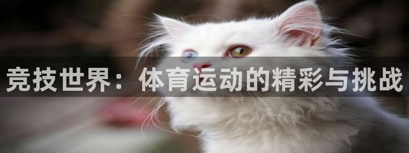 球客岛：竞技世界：体育运动的精彩与挑战