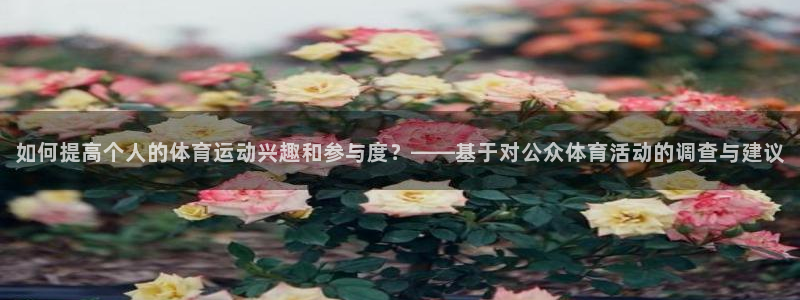球客岛
