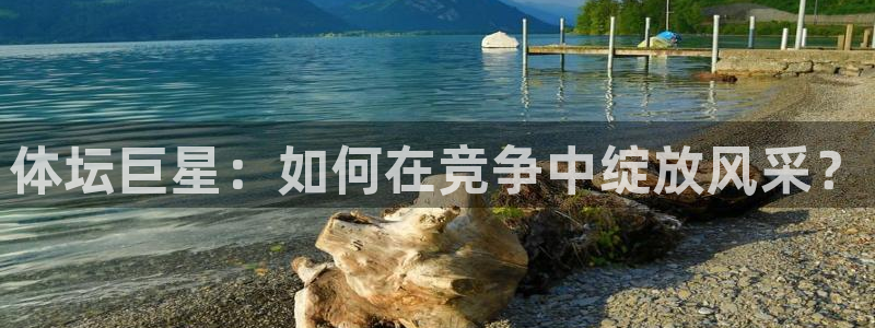 球客岛：体坛巨星：如何在竞争中绽放风采？